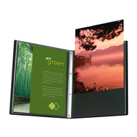 Itoya Art Profolio Advantage, Picture