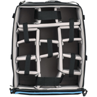 F-STOP Pro ICU, Large, Black Picture