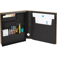 Itoya ProFolio Art and Desk Or Picture