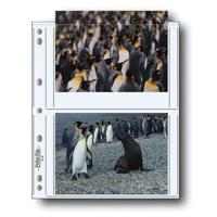 Print File 57-4P 8 mil Polypro Picture