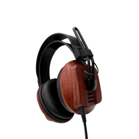 Fostex T60RP 50th Anniversary  Picture