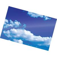 Fellowes Self-Adhesive 5 Mil P Picture