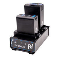 FX Lion FX-2S4S2D 2-Channel DV Picture