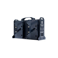 FX Lion FX-NANO4A 4-Channel Go Picture