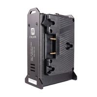 FX Lion FX-M2A Mini 2-Channel  Picture