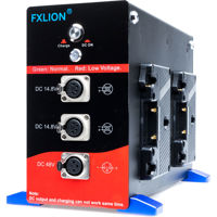 FX Lion PL-4DC48A 48V Skypower Picture