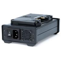 FX Lion PL-Q80A Mono-Channel G Picture