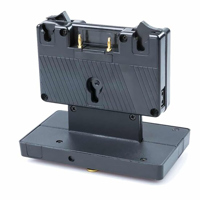 FX Lion XH-2AN-A 2-Channel Gol Picture