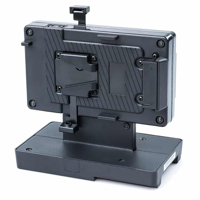 FX Lion XH-2BP-S 2-Channel V-M Picture