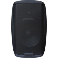 Gemini AS-2112P 12" 1500 Watt  Picture
