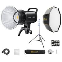 Godox SL100D Day Light LED Vid Picture