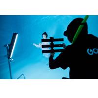Godox WT-C01 Adapter for dive  Picture