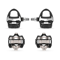 Garmin Rally RS/XC210 Dual-Sen Picture