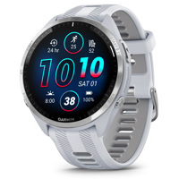 Garmin Forerunner 965 Multispo Picture