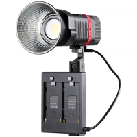 GVM PL60B 60W Bi-Color Pocket  Picture