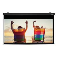 Hamilton Buhl HBS4987 100" Dia Picture