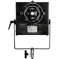 Hive Bee Plasma Quartz Flood L Picture