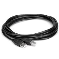 Hosa Technology 10' USB 2.0 "A Picture