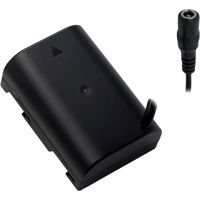 Tilta Panasonic GH DMW-BLF19 D Picture