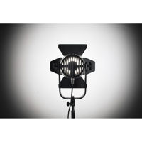 Ikan Stryder SFB150 150W 2-Poi Picture