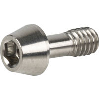 Tilta M4x9.4 Beveled Cap Screw Picture
