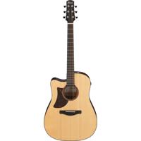 Ibanez Advanced Acoustic Serie Picture