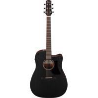 Ibanez Advanced Acoustic Serie Picture