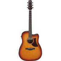 Ibanez Advanced Acoustic Serie Picture