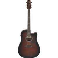 Ibanez Advanced Acoustic Serie Picture