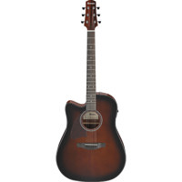 Ibanez Advanced Acoustic Serie Picture