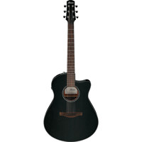 Ibanez Advanced Acoustic Serie Picture