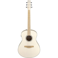 Ibanez Advanced Acoustic Serie Picture