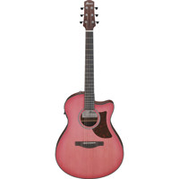 Ibanez Advanced Acoustic Serie Picture