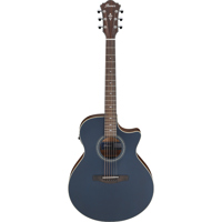 Ibanez AE Series AE100 Acousti Picture