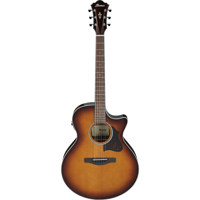Ibanez AE Series AE160 Acousti Picture
