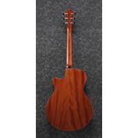 Ibanez AEG220 AEG Series Singl Picture