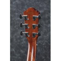 Ibanez AEG220 AEG Single-Cutaway Acoustic Electric Guitar, Natural Low Gloss