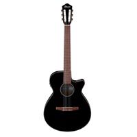 Ibanez AEG50N Acoustic Electri Picture