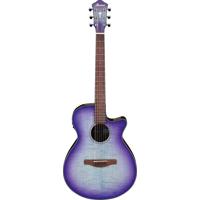 Ibanez AEG Series AEG70 Acoust Picture