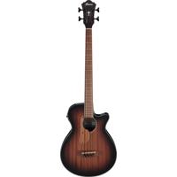 Ibanez AEG Series AEGB24E Acou Picture