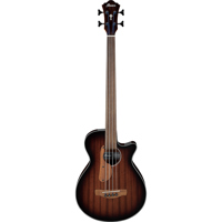 Ibanez AEGB Series AEGB24FE Fr Picture