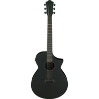 Ibanez AEWC Series AEWC621 Aco Picture