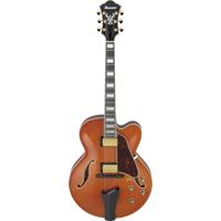 Ibanez Artcore Expressionist A Picture