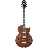 Ibanez Artcore Expressionist S Picture