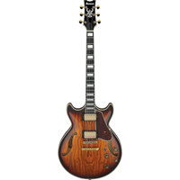 Ibanez Artcore Expressionist S Picture