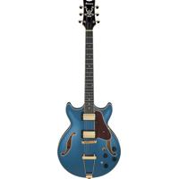 Ibanez AM Artcore Expressionis Picture