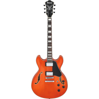 Ibanez AS Artcore Series AS73  Picture