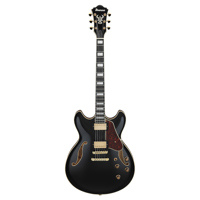 Ibanez AS Artcore Expressionis Picture