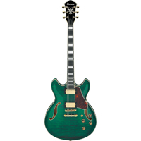 Ibanez AS Artcore Expressionis Picture