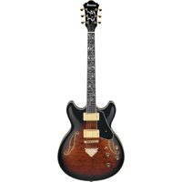Ibanez AS Artcore Expressionis Picture